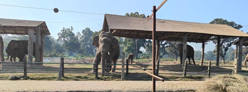 Kathmandu – Pokhara – Chitwan – Nagarkot
